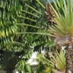 contactez nous-header